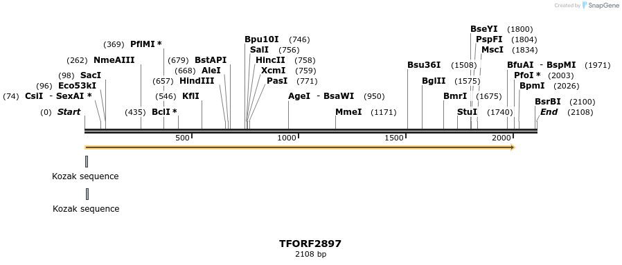 283098_map
