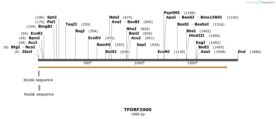 283101_map