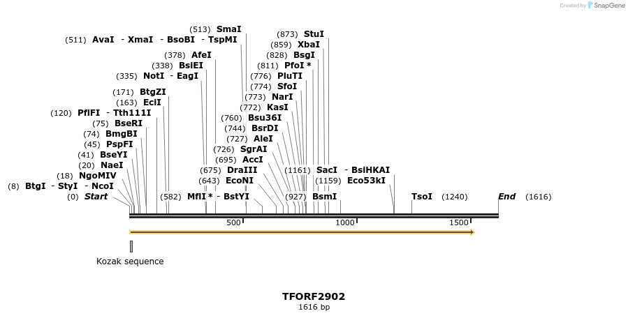 283104_map
