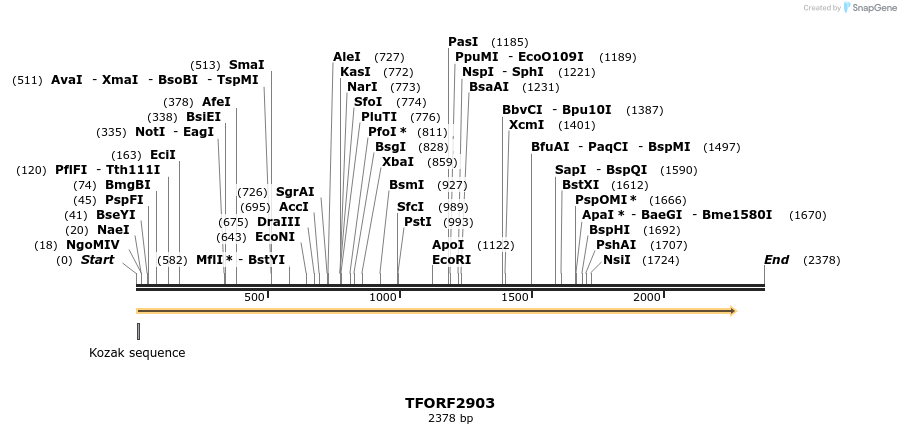 283107_map