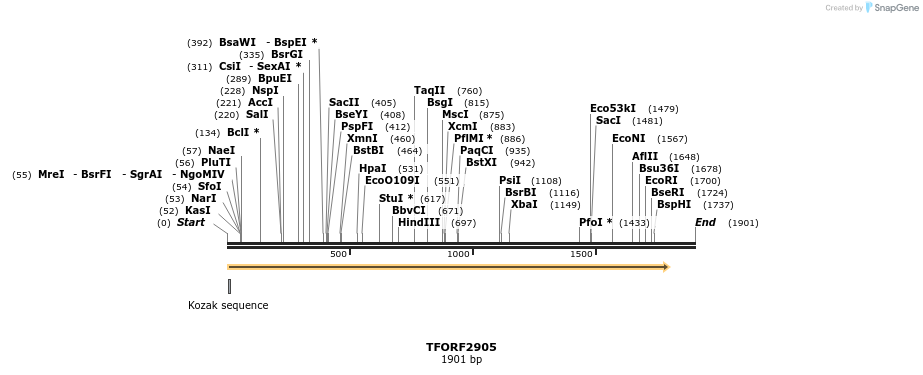 283110_map