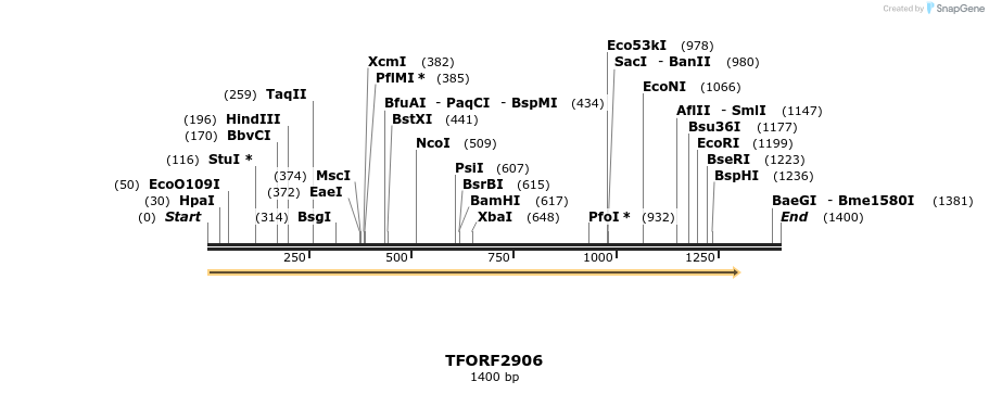 283113_map
