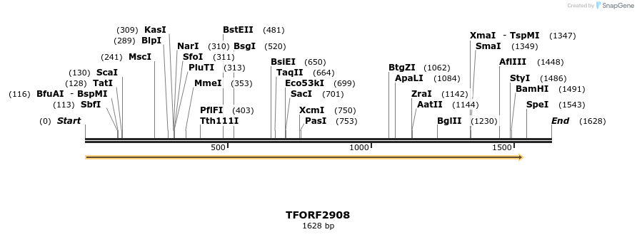 283119_map