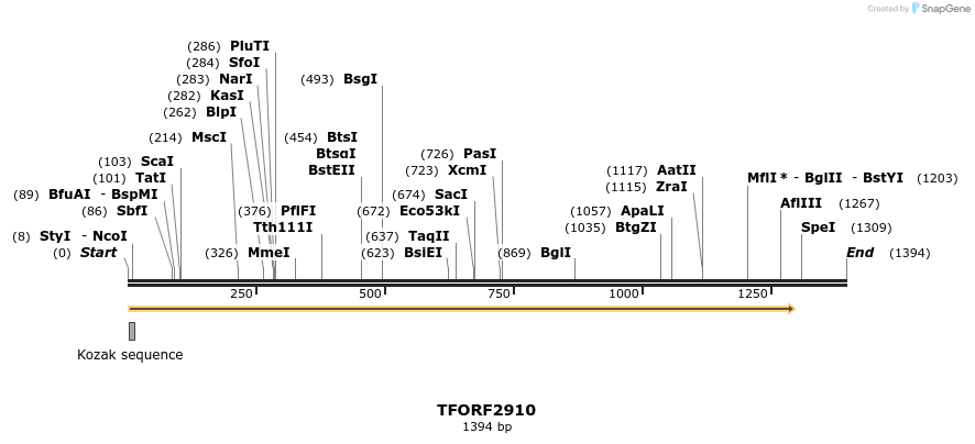 283125_map