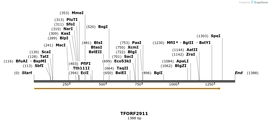 283128_map