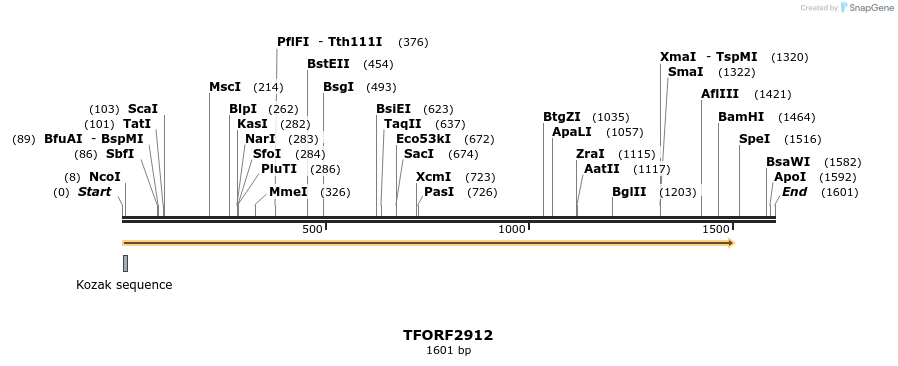 283131_map