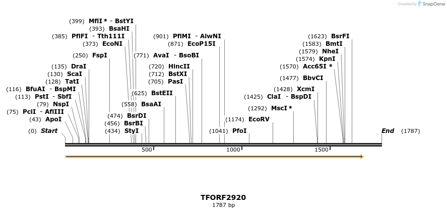 283146_map