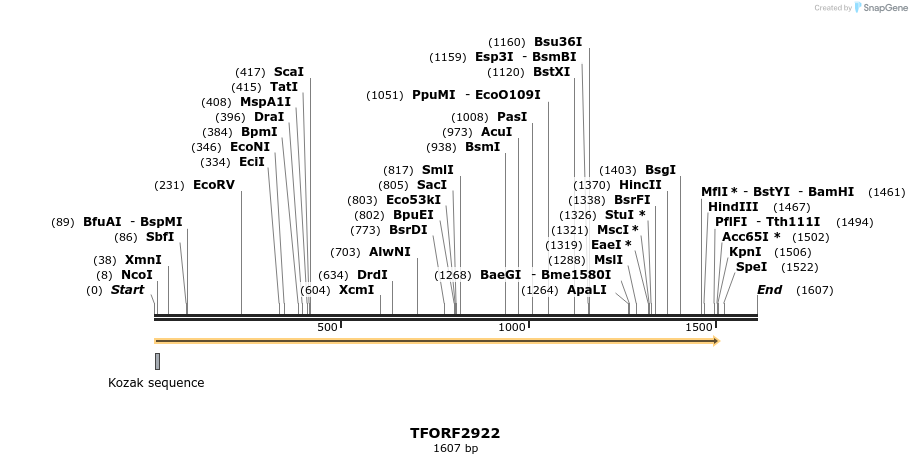 283149_map