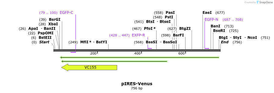 28315_map