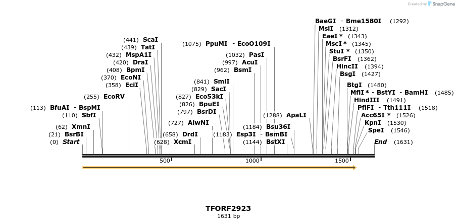 283152_map