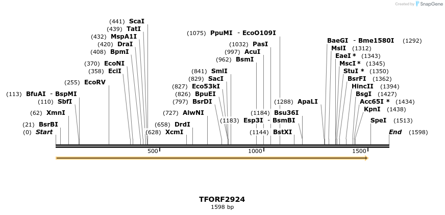 283155_map