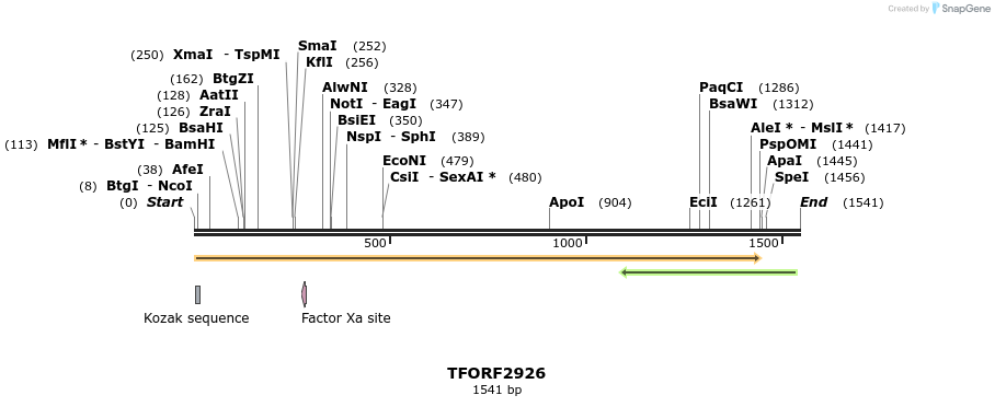 283161_map