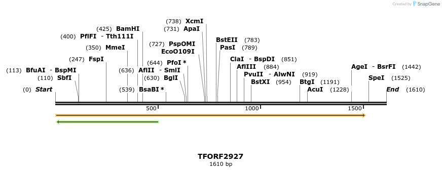 283164_map