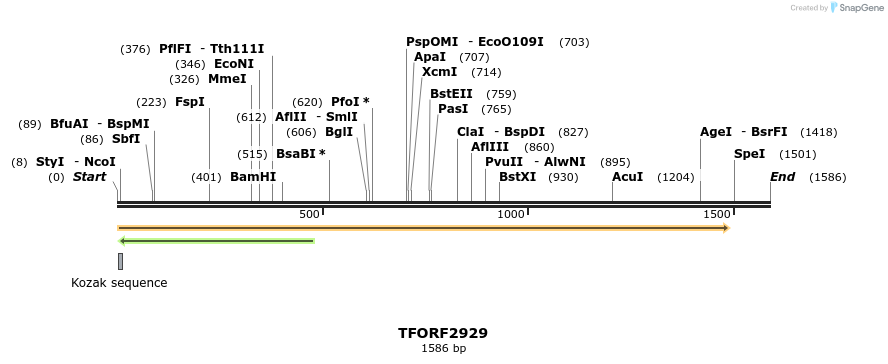 283167_map