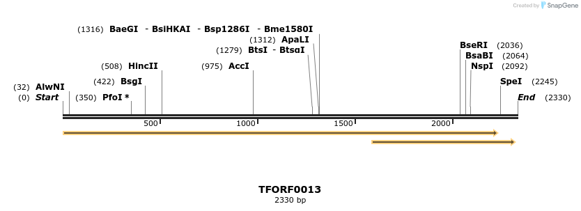 283173_map