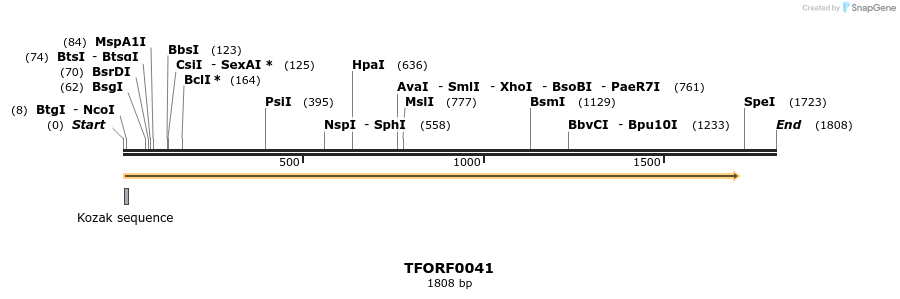 283185_map
