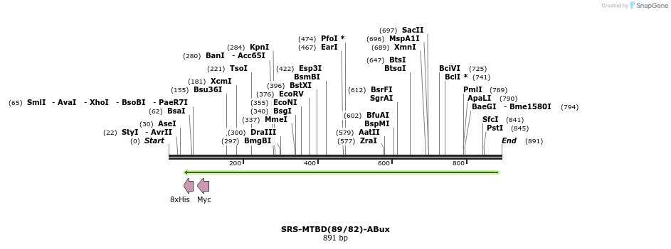 28319_map