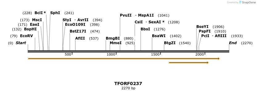 283191_map