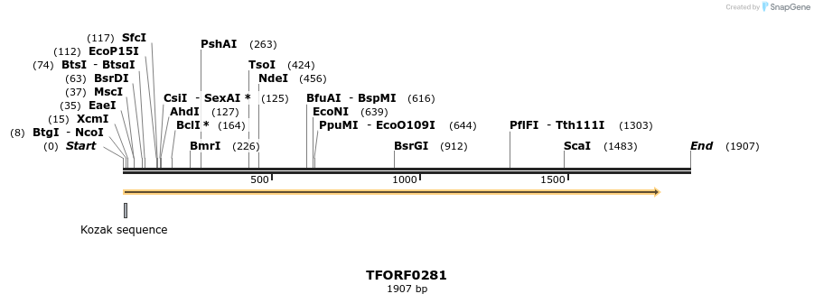 283194_map