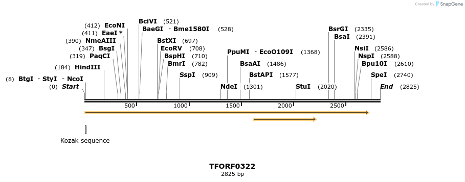283197_map