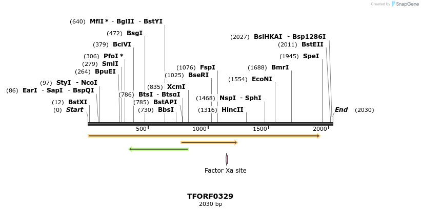 283206_map