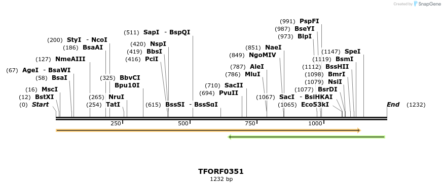 283212_map