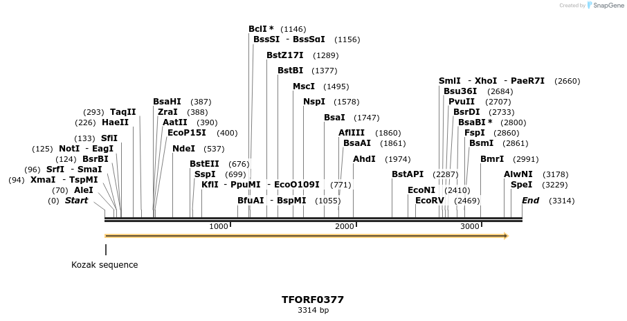 283221_map