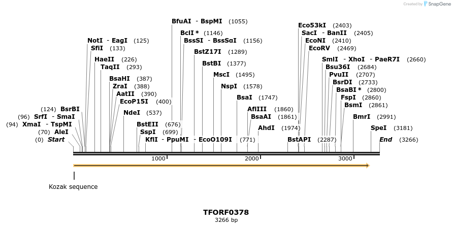 283224_map