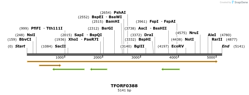283227_map