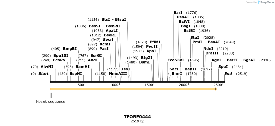 283233_map