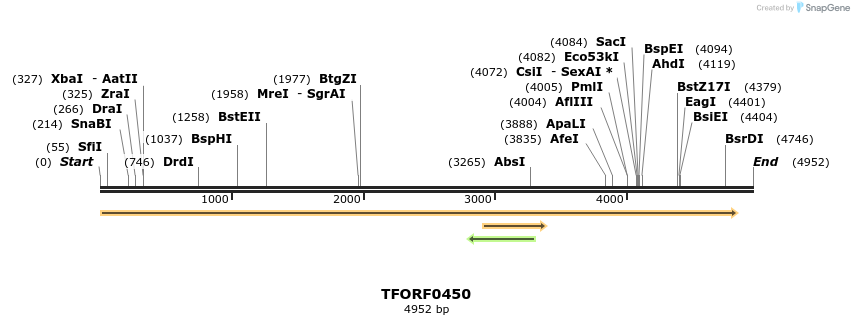 283236_map