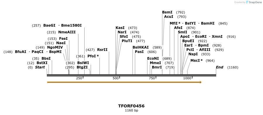 283239_map