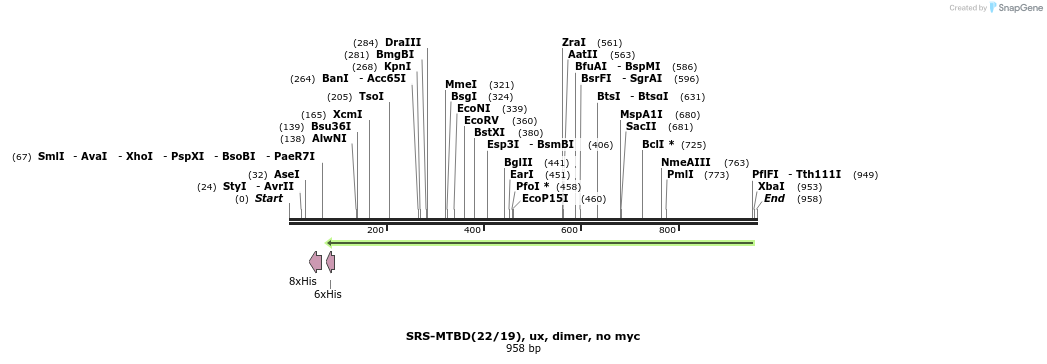 28324_map