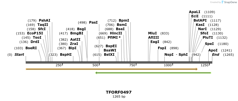 283251_map