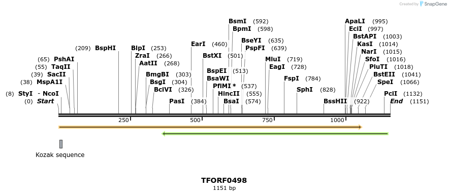 283254_map