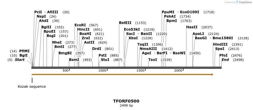 283257_map