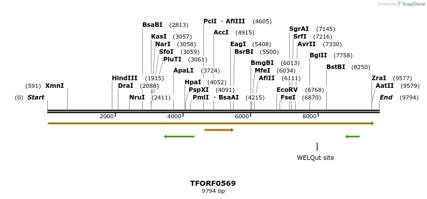 283269_map