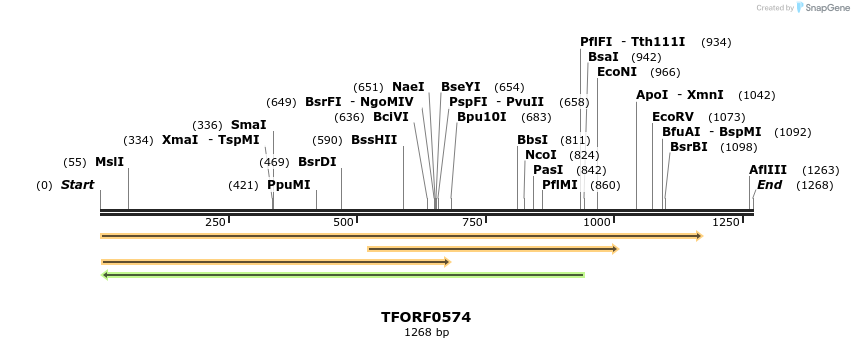 283272_map