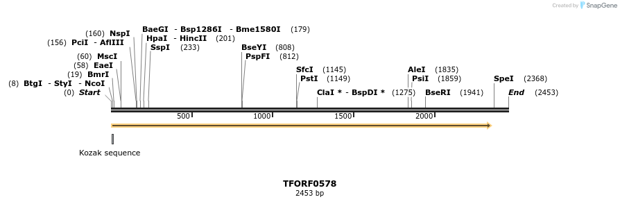 283275_map