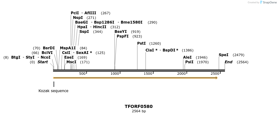 283278_map
