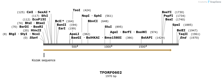 283281_map