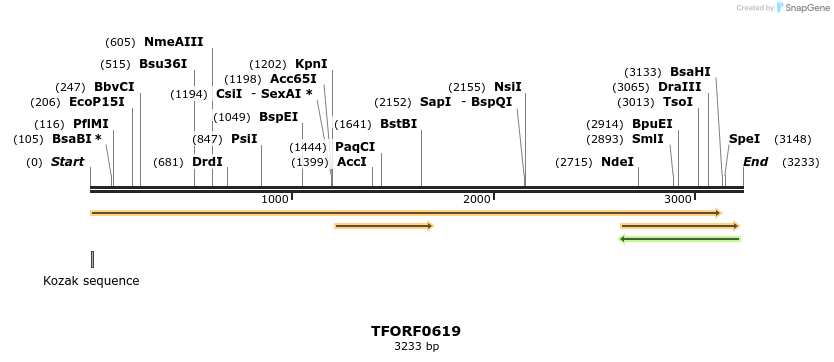 283287_map
