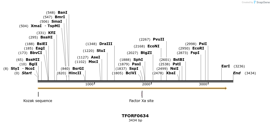 283290_map