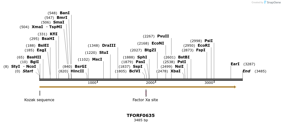 283293_map