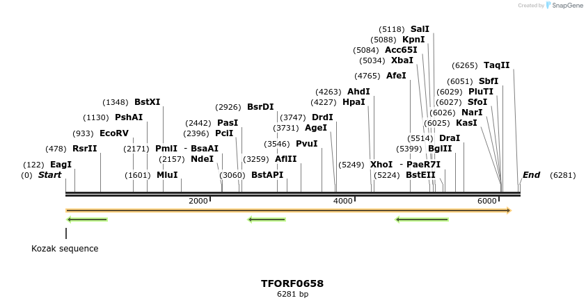 283296_map