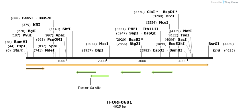 283299_map