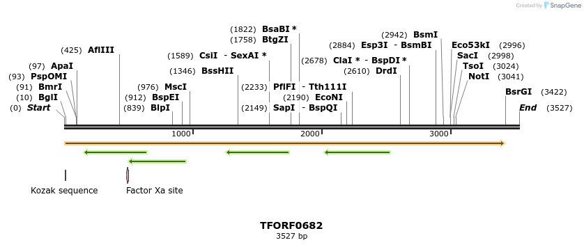 283302_map