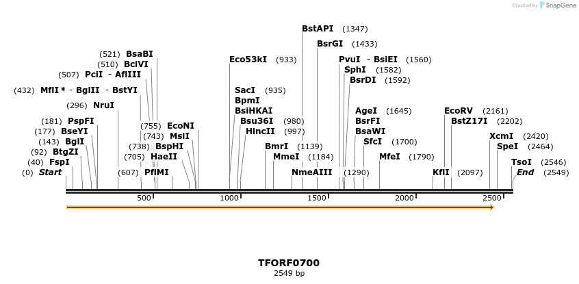 283305_map