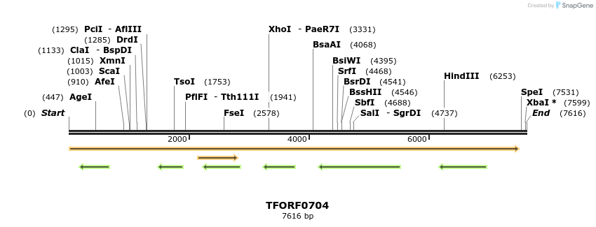 283308_map