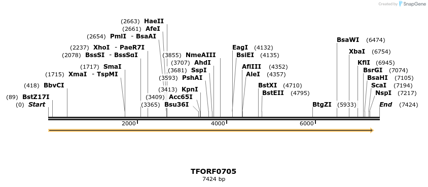 283311_map